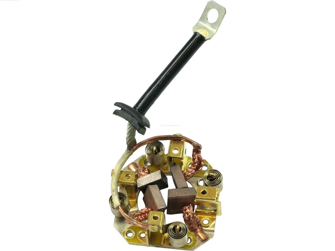 AS-PL Halter, Kohlebürsten