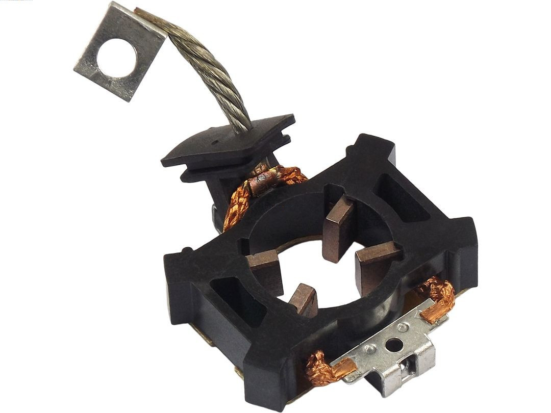 AS-PL Halter, Kohlebürsten