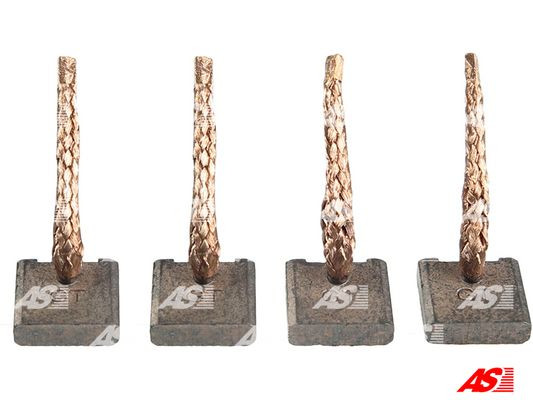 AS-PL Kohlebürste, Starter