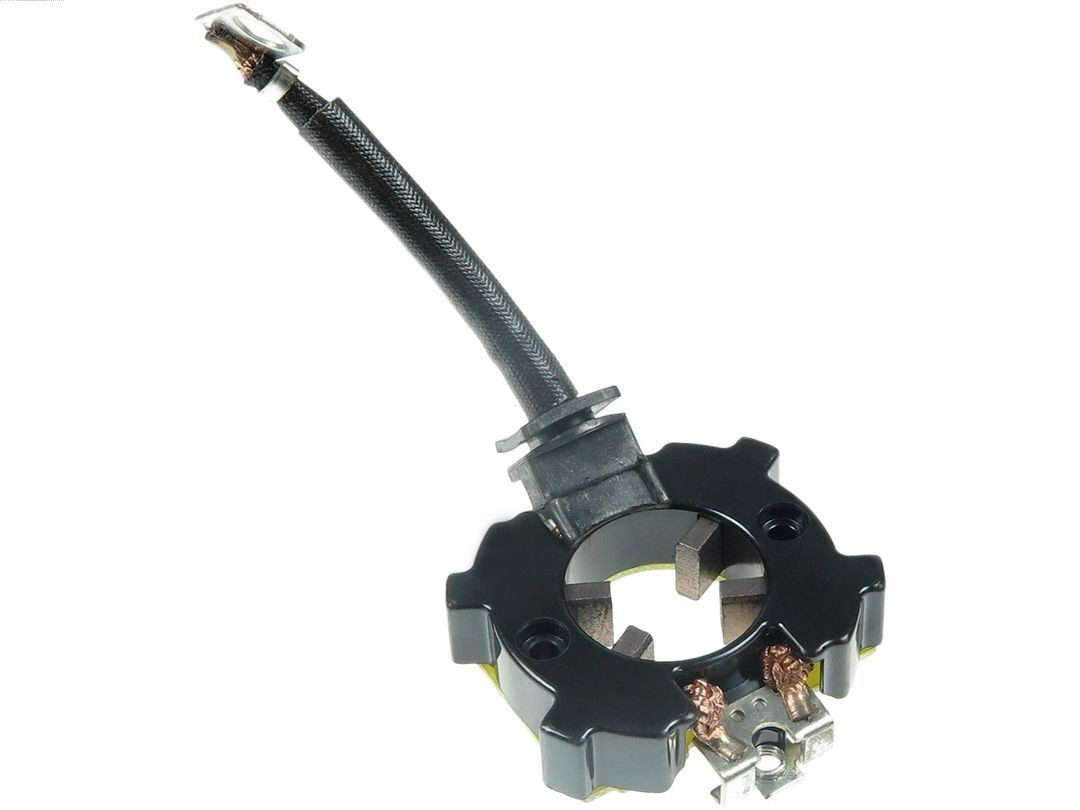 AS-PL Halter, Kohlebürsten