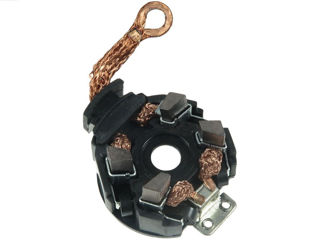 AS-PL Halter, Kohlebürsten