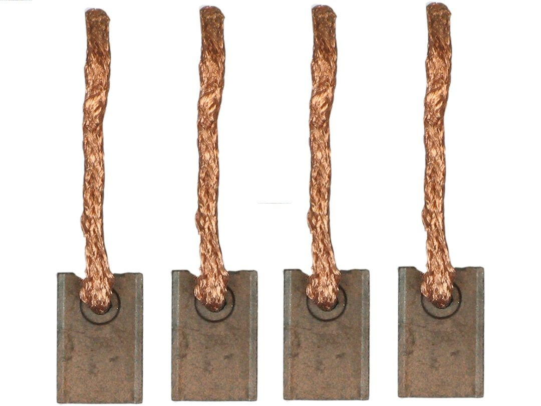 AS-PL Kohlebürste, Starter