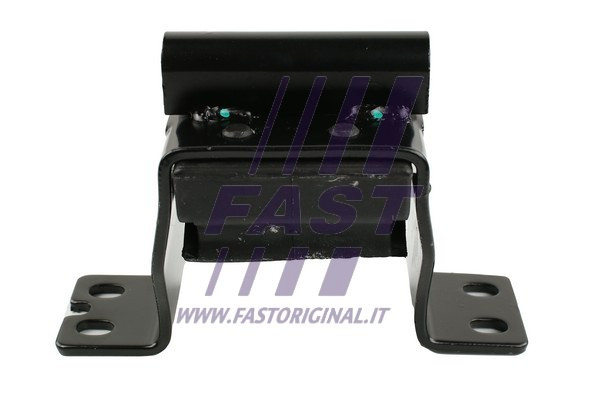 FAST Lagerung, Federgehänge