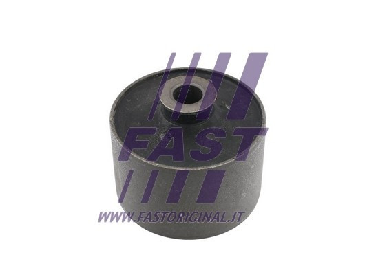 FAST Lagerung, Achskörper