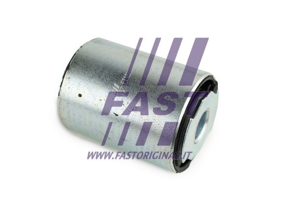 FAST Lagerung, Achskörper