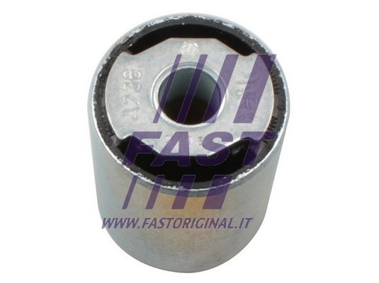 FAST Lagerung, Achskörper