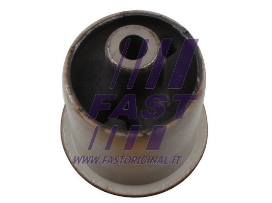 FAST Lagerung, Achskörper