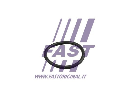 FAST Dichtring, Kühlmittelrohrleitung