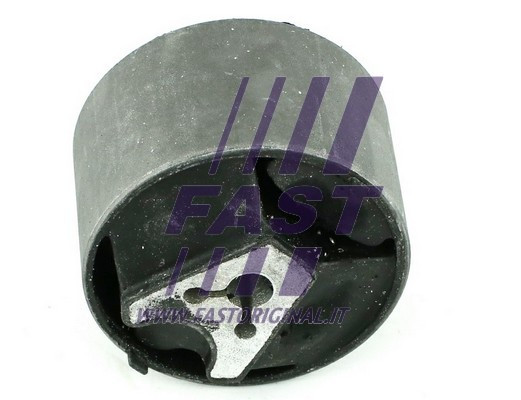 FAST Lagerung, Motor