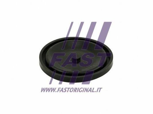 FAST Membran, Kurbelgehäuseentlüftung