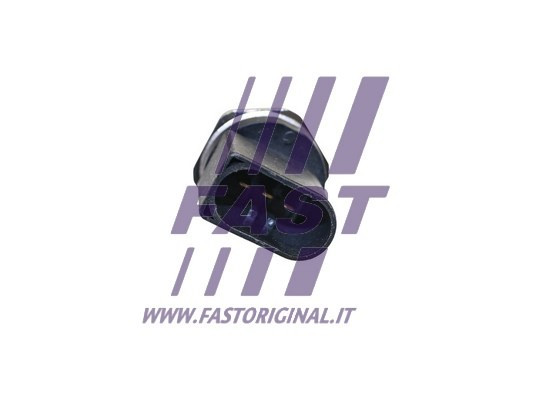 FAST Sensor, Kraftstoffdruck