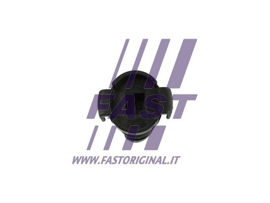 FAST Verschlussschraube, Ölwanne