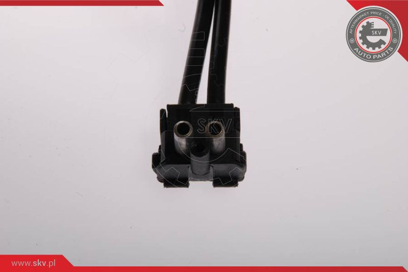 ESEN SKV Kraftstoffpumpe