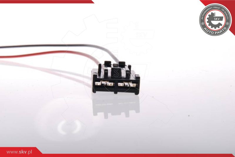 ESEN SKV Kraftstoffpumpe