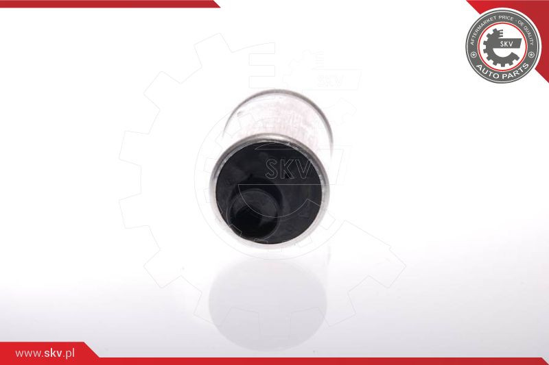 ESEN SKV Kraftstoffpumpe