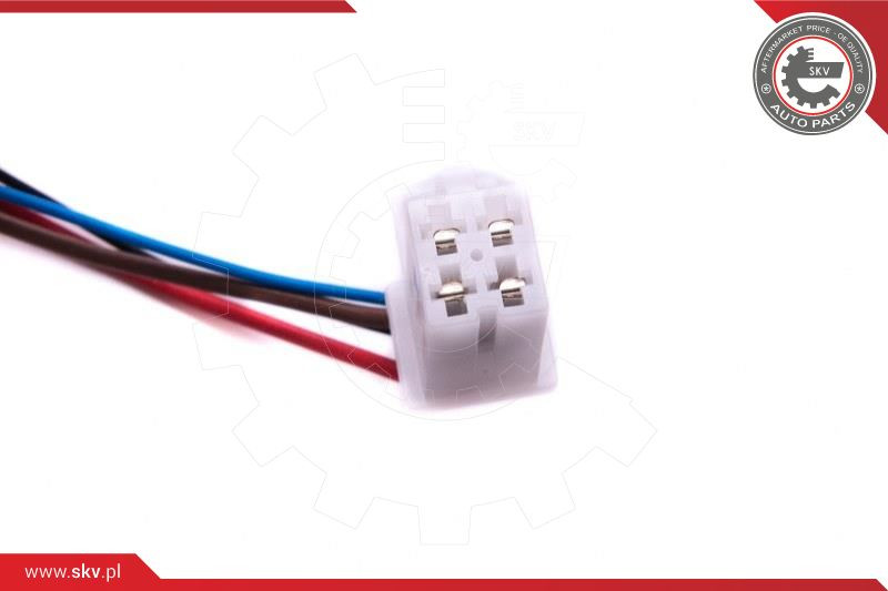 ESEN SKV Kraftstoff-Fördereinheit