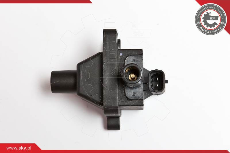 ESEN SKV Zündspule