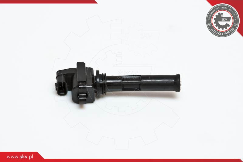 ESEN SKV Zündspule