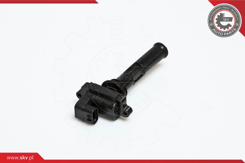 ESEN SKV Zündspule