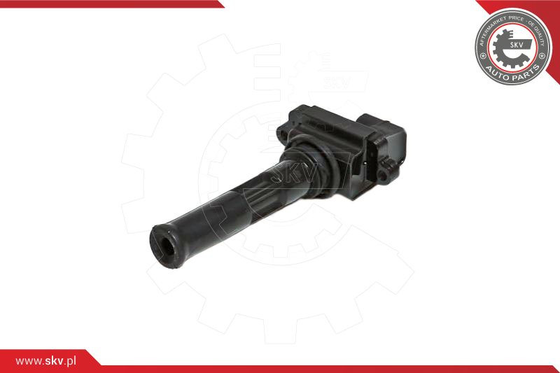 ESEN SKV Zündspule