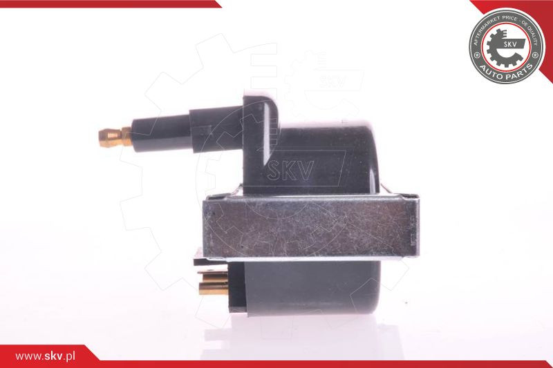 ESEN SKV Zündspule
