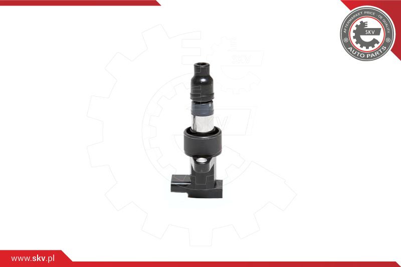 ESEN SKV Zündspule