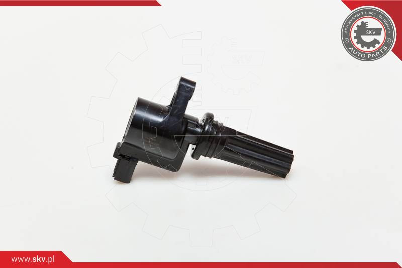 ESEN SKV Zündspule