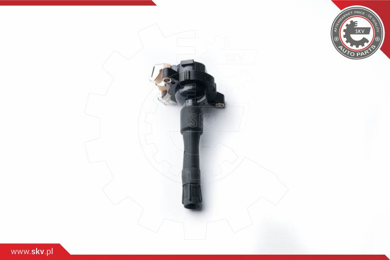 ESEN SKV Zündspule