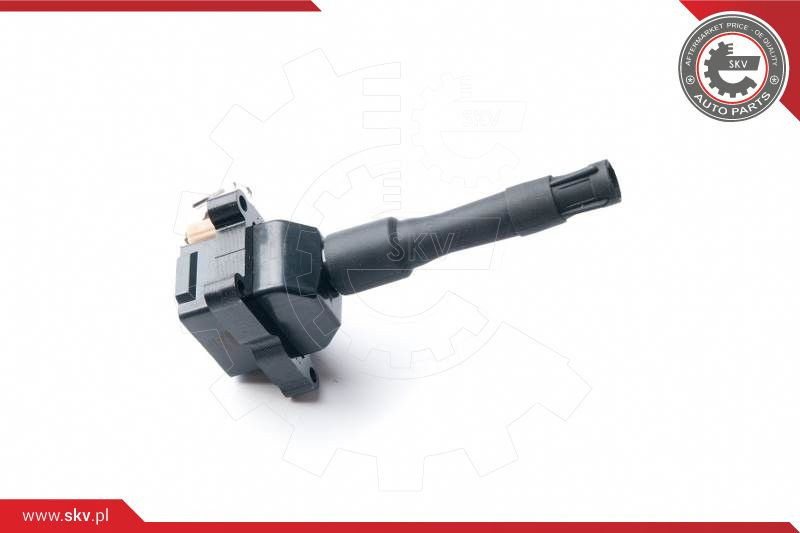 ESEN SKV Zündspule