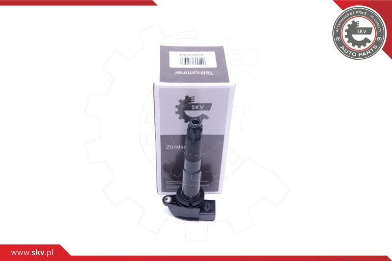 ESEN SKV Zündspule