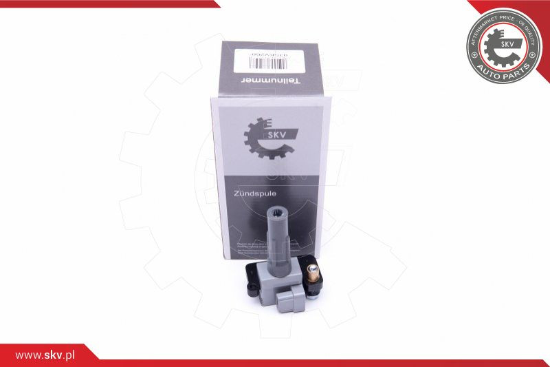 ESEN SKV Zündspule