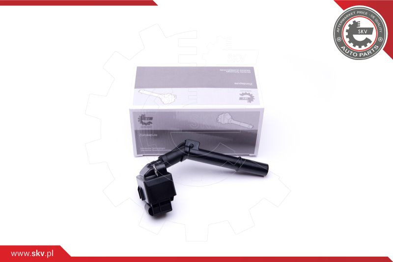 ESEN SKV Zündspule