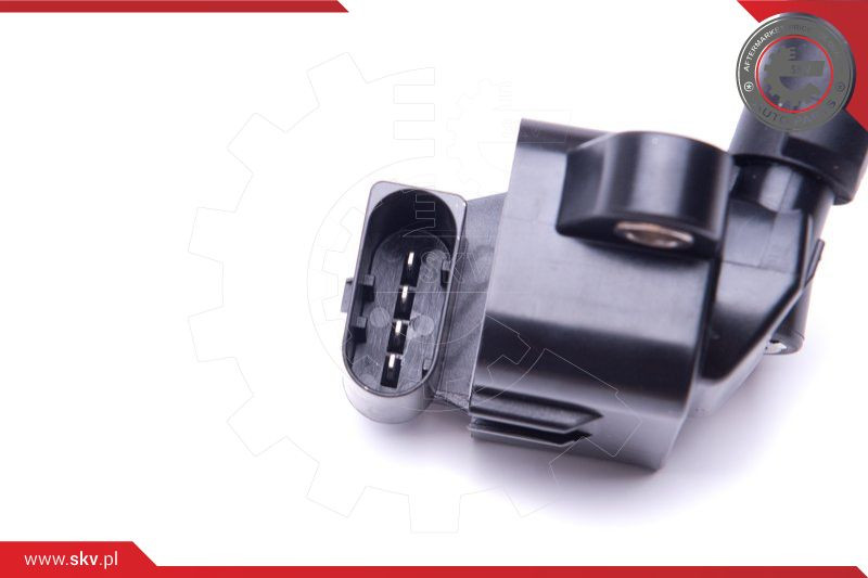 ESEN SKV Zündspule