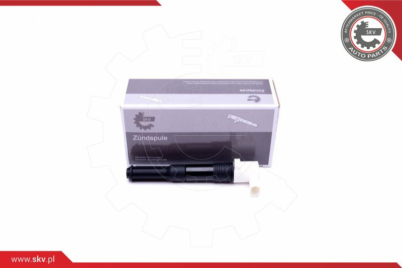 ESEN SKV Zündspule