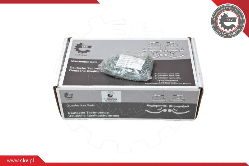 ESEN SKV Reparatursatz, Querlenker