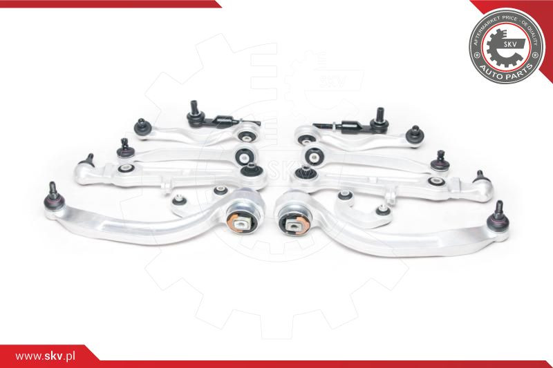 ESEN SKV Reparatursatz, Querlenker