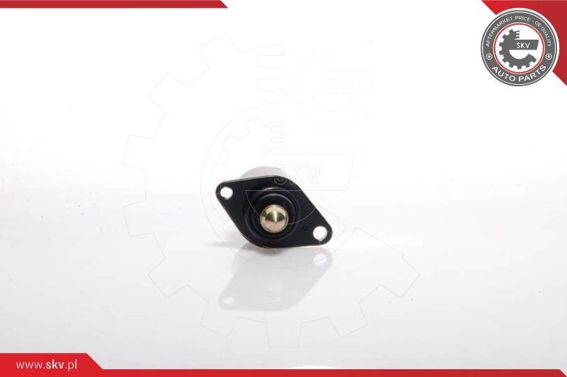 ESEN SKV Leerlaufregelventil, Luftversorgung