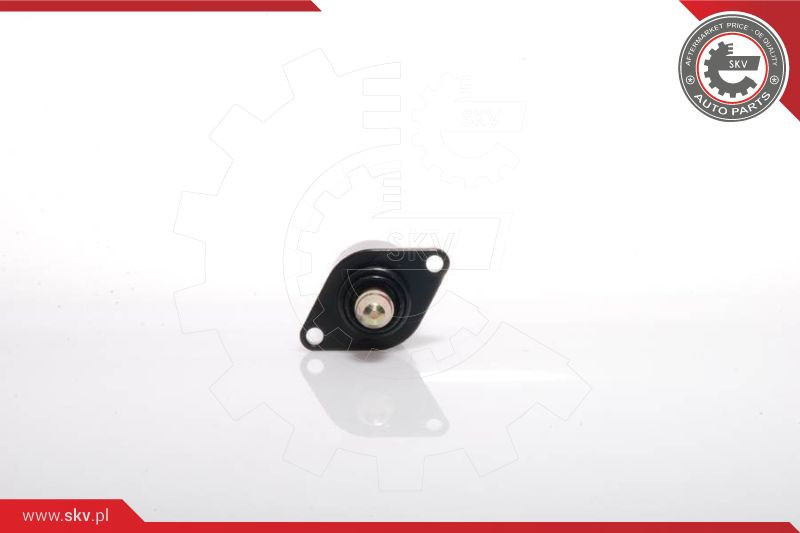 ESEN SKV Leerlaufregelventil, Luftversorgung