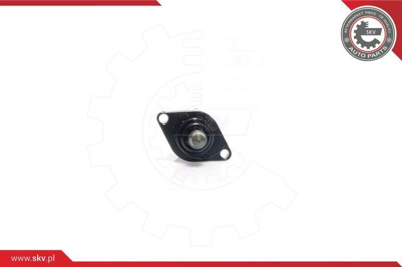 ESEN SKV Leerlaufregelventil, Luftversorgung