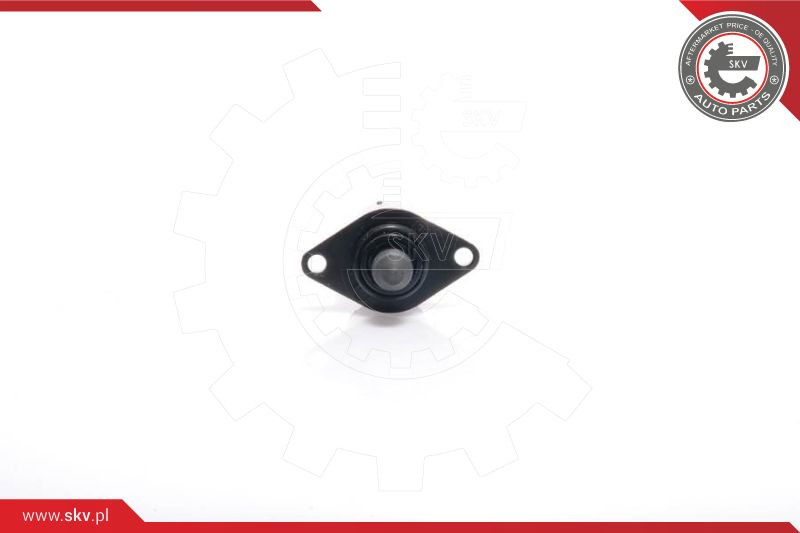 ESEN SKV Leerlaufregelventil, Luftversorgung