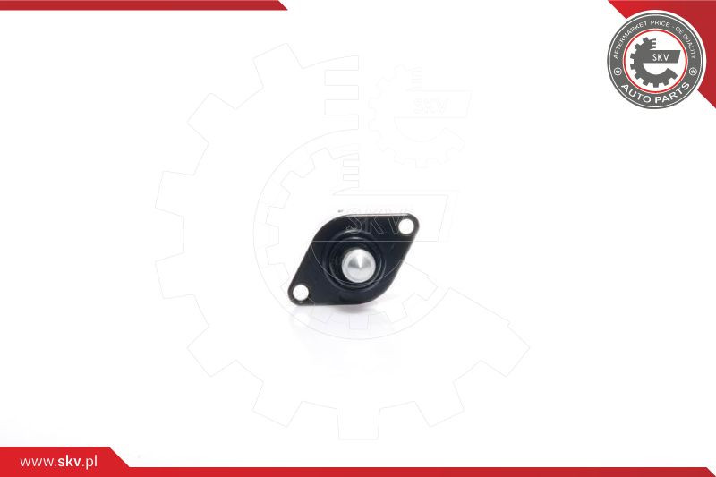 ESEN SKV Leerlaufregelventil, Luftversorgung