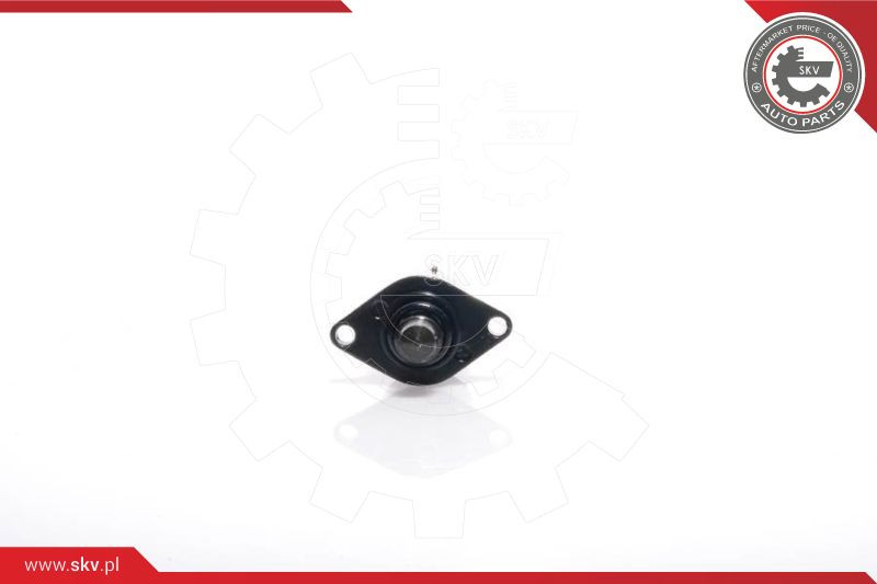 ESEN SKV Leerlaufregelventil, Luftversorgung