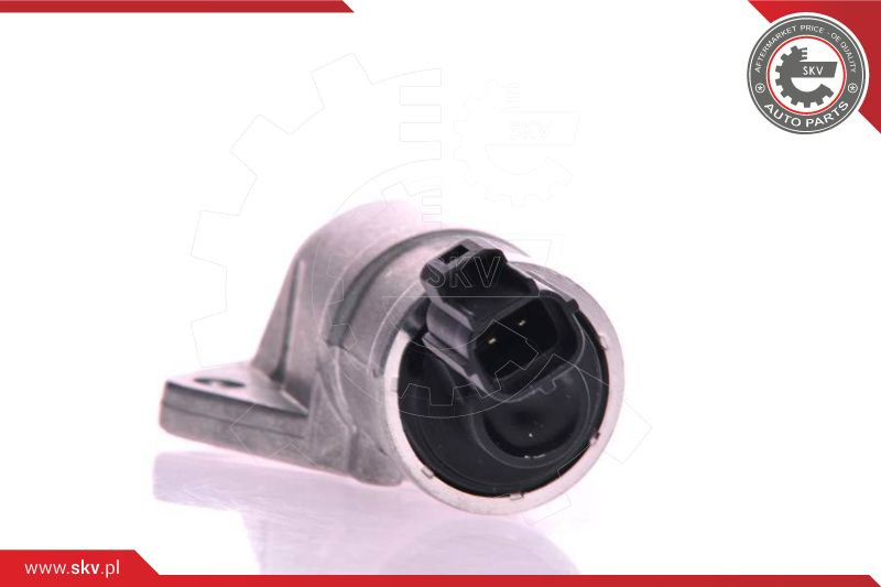 ESEN SKV Leerlaufregelventil, Luftversorgung