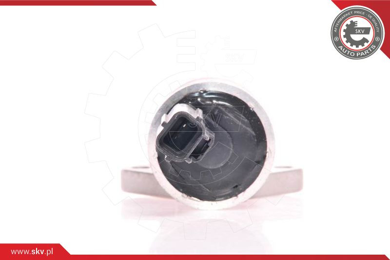 ESEN SKV Leerlaufregelventil, Luftversorgung