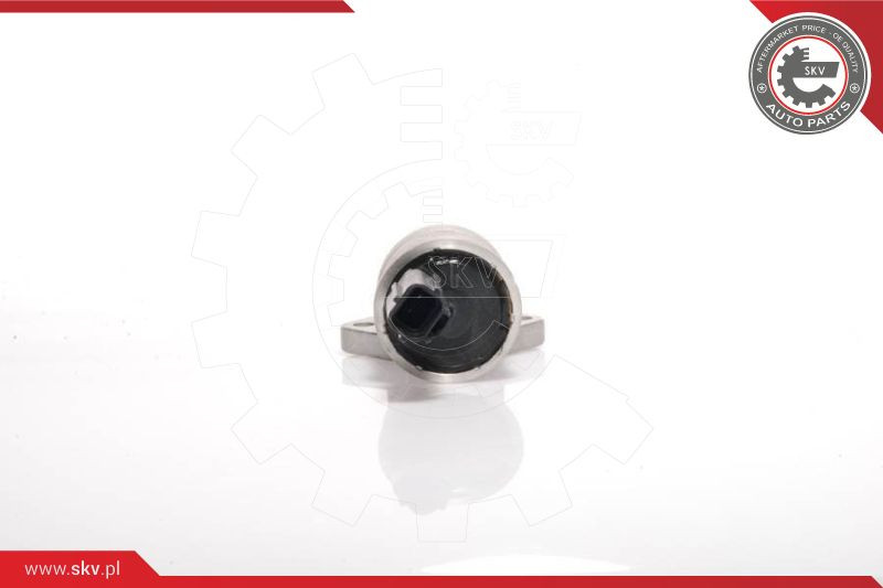 ESEN SKV Leerlaufregelventil, Luftversorgung