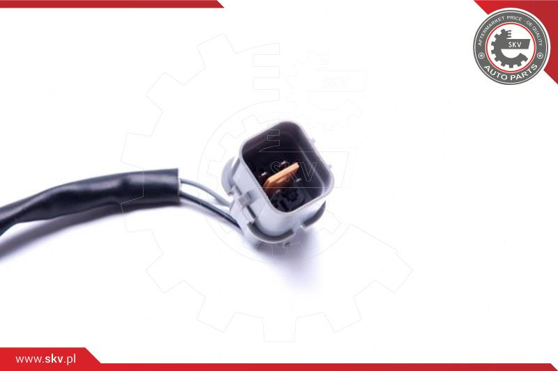 ESEN SKV Lambdasonde