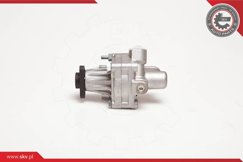 ESEN SKV Hydraulikpumpe, Lenkung