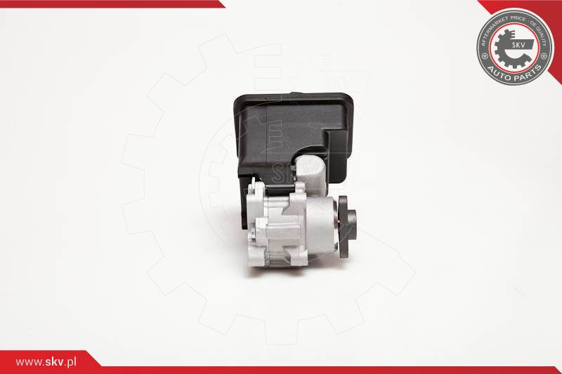 ESEN SKV Hydraulikpumpe, Lenkung