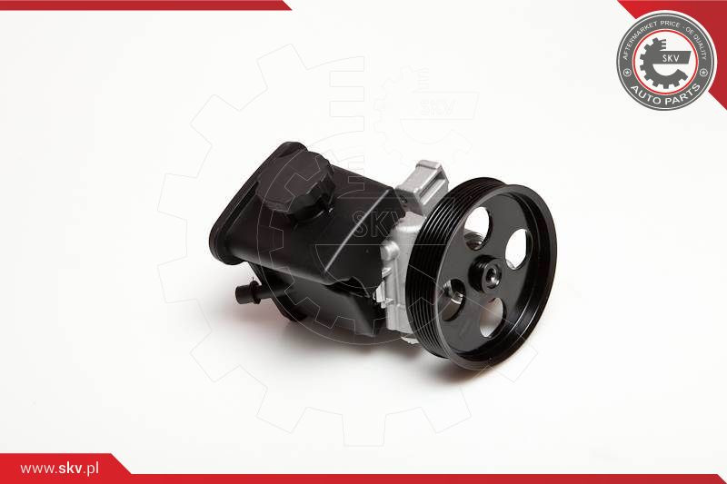 ESEN SKV Hydraulikpumpe, Lenkung