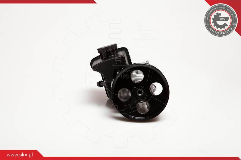 ESEN SKV Hydraulikpumpe, Lenkung